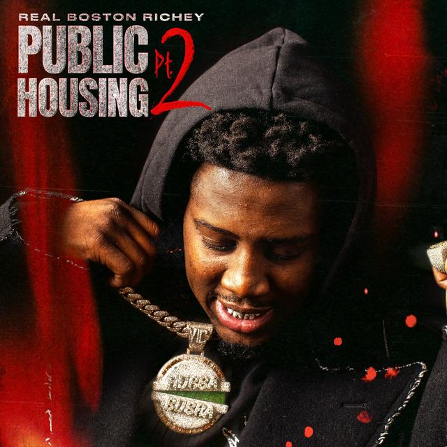 Album cover art for Public Housing, Pt. 2