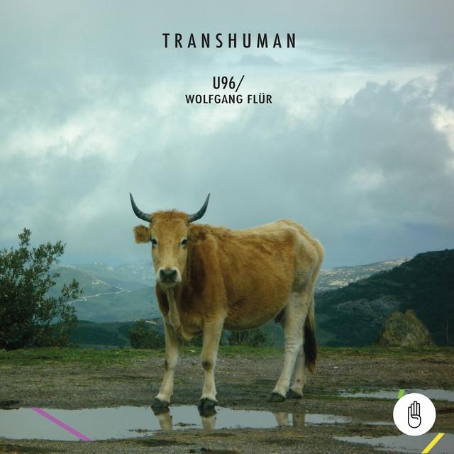 Album cover art for Transhuman