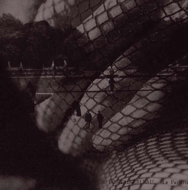 Album cover art for Nega To Posi