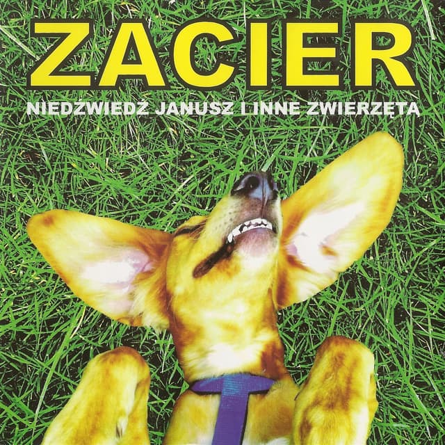Album cover art for Niedźwiedź Janusz i inne zwierzęta