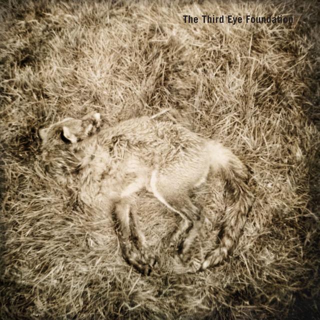 Album cover art for Semtex