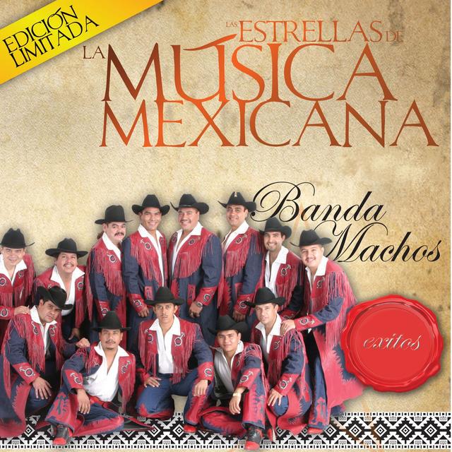 Album cover art for Las Estrellas De La Musica Mexicana