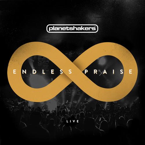 Album cover art for Endless Praise