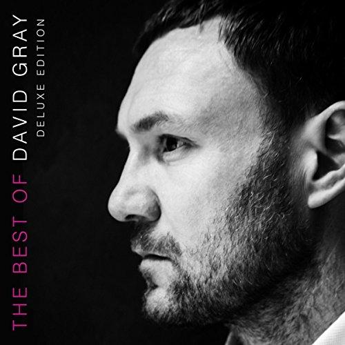 Album cover art for The Best of David Gray