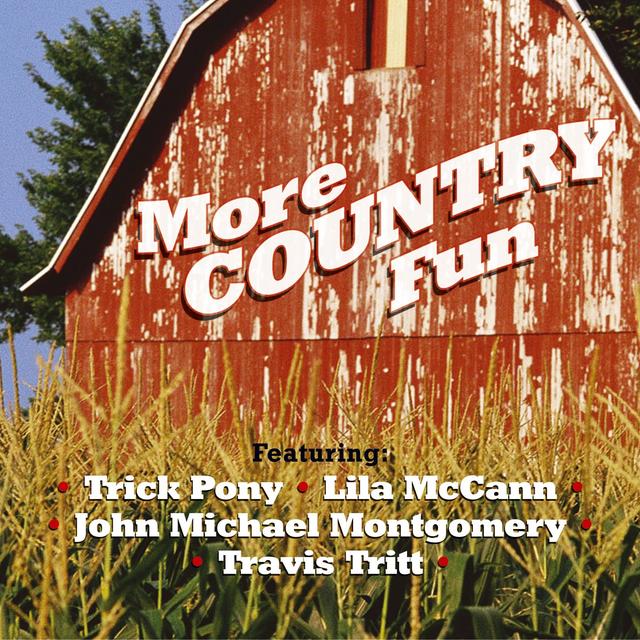 Album cover art for More Country Fun