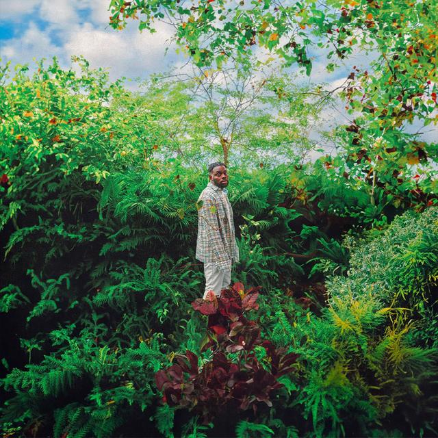 Album cover art for The Greenhouse Project